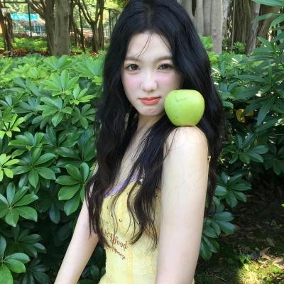 科搜研之女第24季